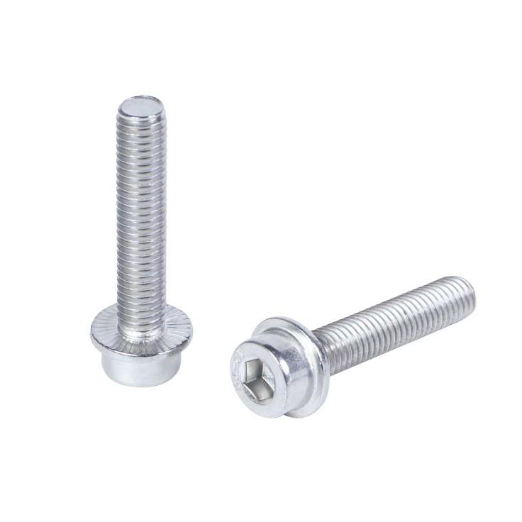 DIN251 Insexhuvud med tandade flänsskruvar