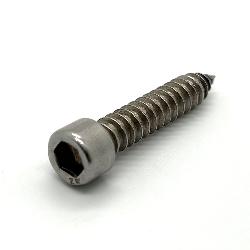 Hexagon Socket Cap Head Self Tapping Skruv